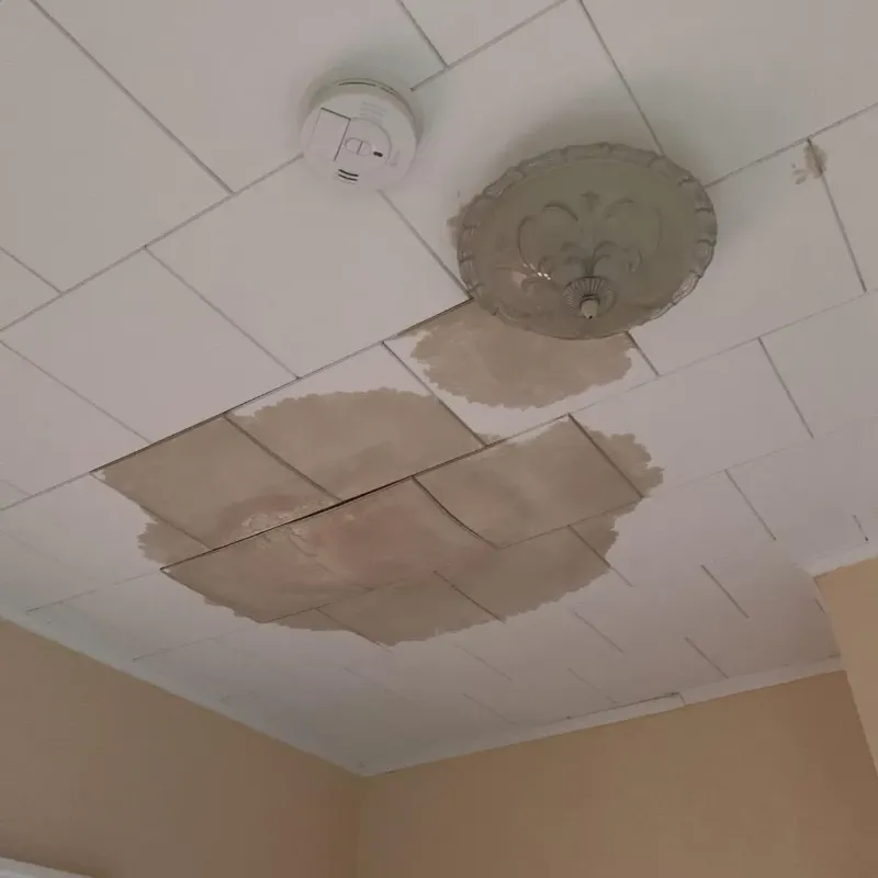 Ceiling Water Damage Repair in Tishomingo County, MS