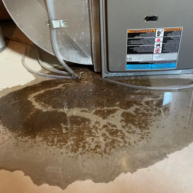 Pipe Burst and Leak Restoration in Tishomingo County, MS