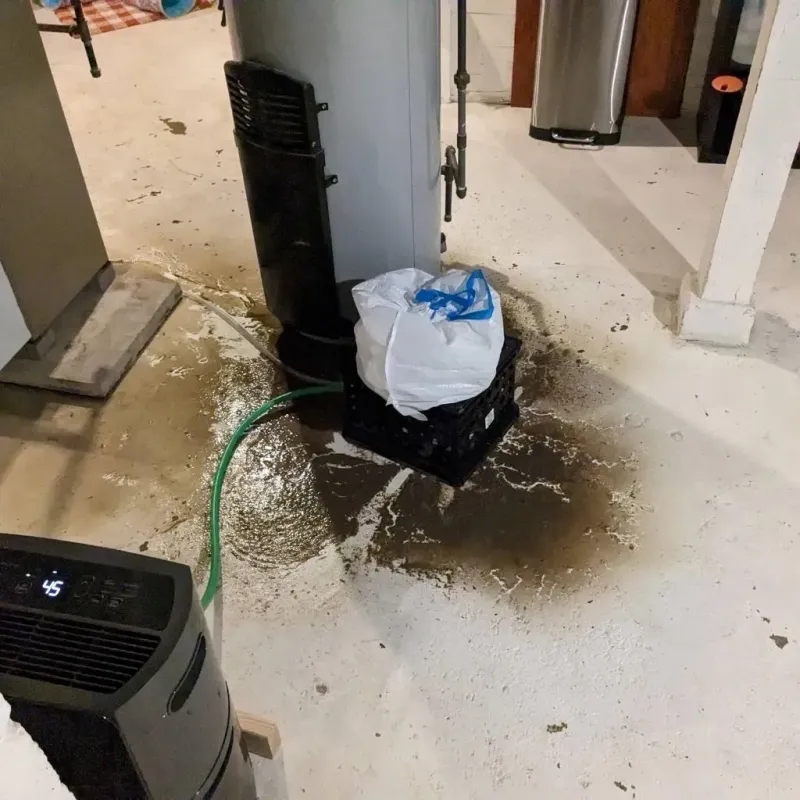 Sewage Backup Cleanup Service in Tishomingo County, MS